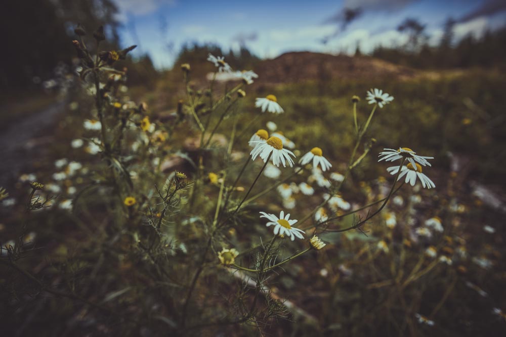 Frankenwald Trekkingtour